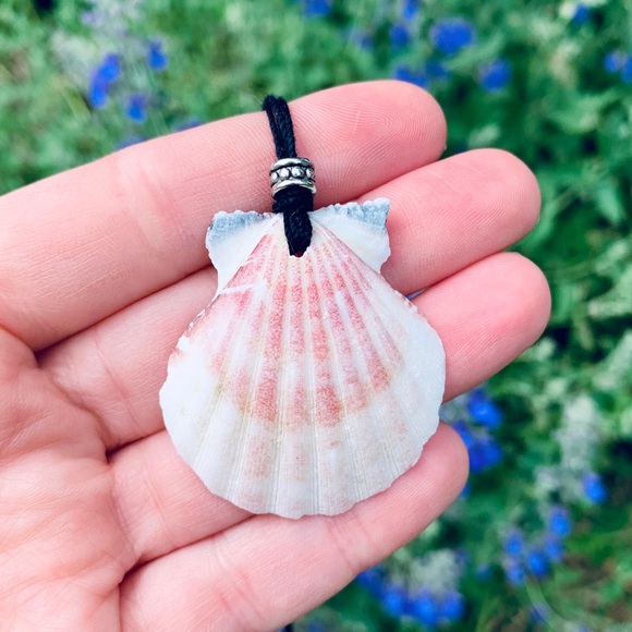 Jewelry - Mermaid Vibes Seashell Necklace